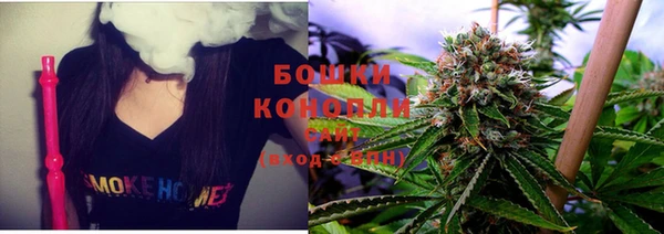 PSILOCYBIN Алзамай