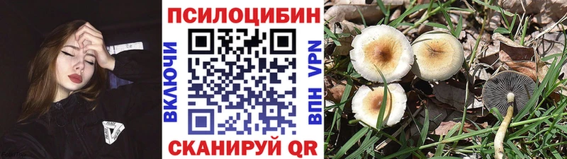 Галлюциногенные грибы Magic Shrooms МЕГА зеркало Арсеньев